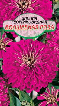 ������ ��������� ���� �/�