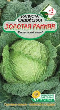 ������� ������ ������� ���������