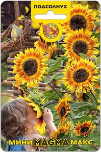 ��������� ����-���� Magma