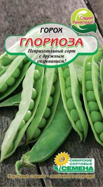 �������� �����