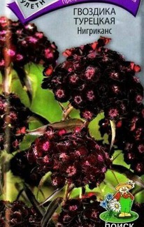 �������� �������� ���������