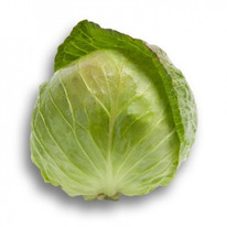 ������ ������� ������������ ����� F1 : 20�� Rijk Zwaan