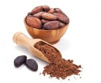 ����� �����������, ��� 250 �