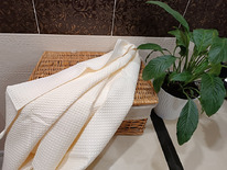 ������� ��������� ��������� ���������� ��� ���� 245�/�2 �������