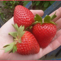 ��������� ������ ������������