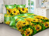 ������� ����� �� ���� �������� �� ������� (160) + 2 ��������� 50*70