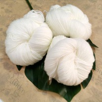 ESENIA ����� ��� ������� � ������ - �����