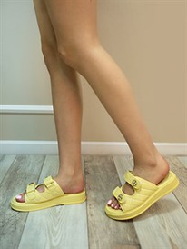 ���� ������ ������������ (B356-8)