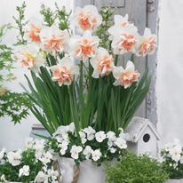 �������� ��������