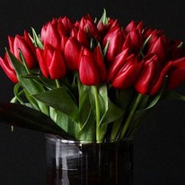 �������� ������ ���