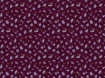 ����� ��������  80��