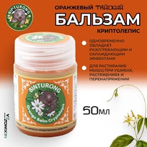 BINTURONG   /      ()