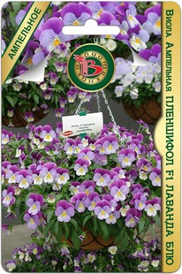 ����� ��������� ��������� F1 ������� ���