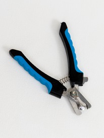 ���������� �����