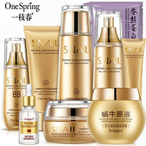 ����� SNAIL ����� ��������� �� ����� � ���������� ������