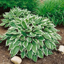 ����� ��������������