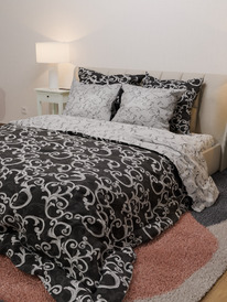 ������� ���������� ����� �� ���� �������