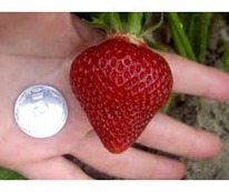 ��������� ������������ ����� ������ �9 5 ��