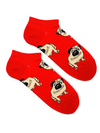 �������� ����� �. 37-44 �����