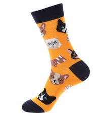 ����� �.35-40 ������ � �����