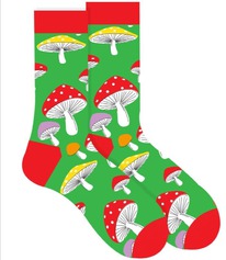 ����� �.35-40 