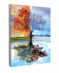 ������� �� ������� 40�50 / VA-1684 ������� ����