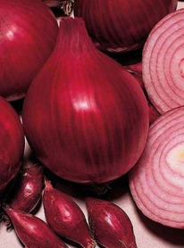 ���-����� ��� ������ (0,5��) �������