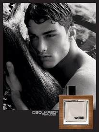 211 - ������ �����������: He Wood (Dsquared)