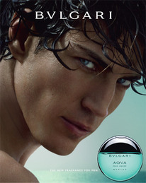 217 - ������ �����������: Aqua pour Homme (Bvlgari)