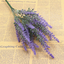 ����� �������, ������������� �����