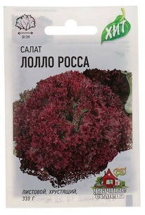 ����� ����� �����