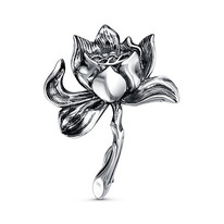 ����� ������ ���������