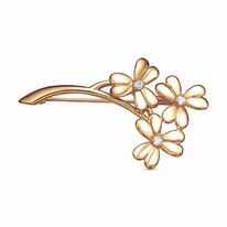 ����� ����� �� ���������� ������� � ���������