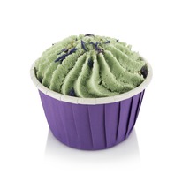 CHOCOLATTE ���� ������ ��� ���� ����