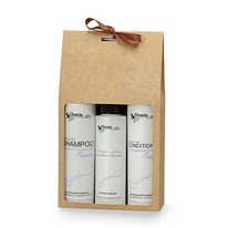 CHOCOLATTE   9   Repair