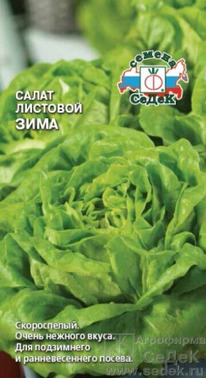 ����� ���� ��������