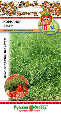 �������� ���� ����������