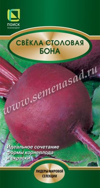 ������ ���� 3�� (�����)