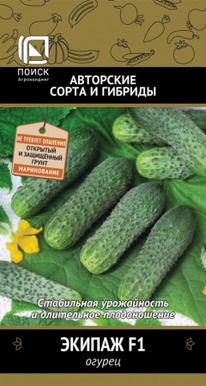 ������ ������ F1 12��