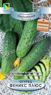 ������ ������ ����