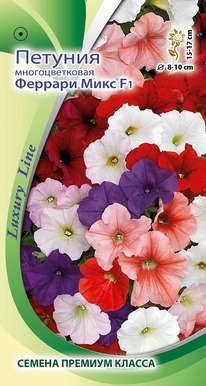 ������� ������� ���� F1 �������������� 5��