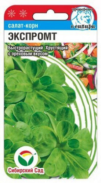 ����� ���� ��������