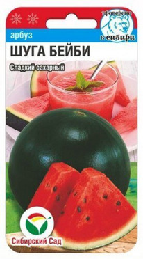 ����� ���� �����