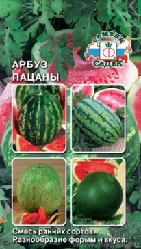 ����� ������ ����� ������ ������