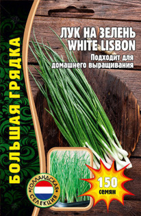 ��� �� ������ WHITE LISBON ������� ������