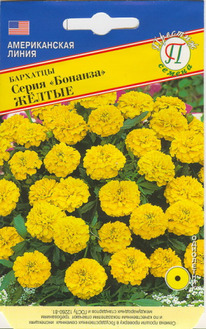 �������� ������� ������ ����������