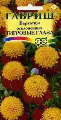 �������� �������� �����