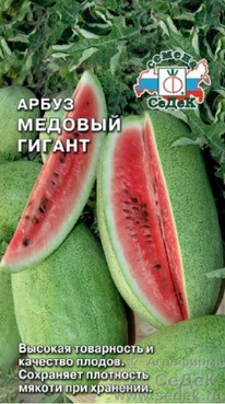 ����� ������� ������