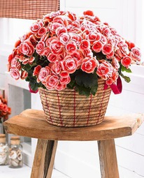 ������� ��������� 6/7