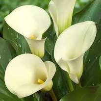 ����� ������� ������� 12/14